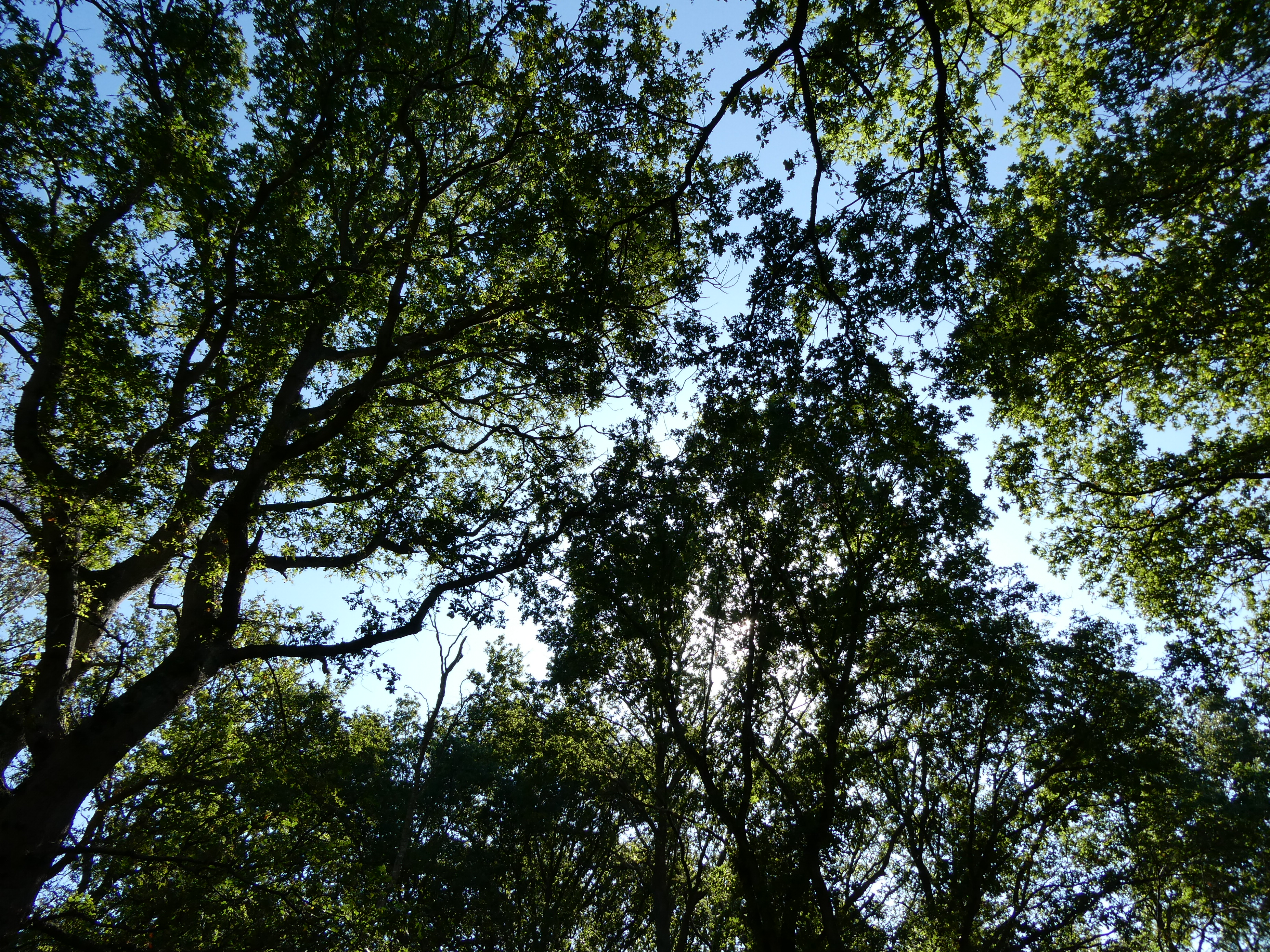 Don’t cry at your desk, stare into the abyss instead.